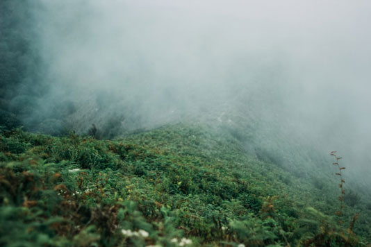 Picture of fog during a hike